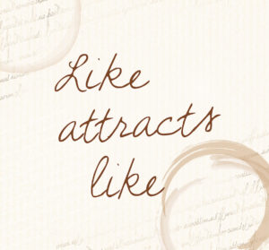 like-attracts-like